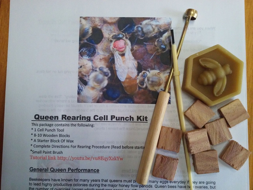 Queen Rearing Cell Punch Kit Beeslist